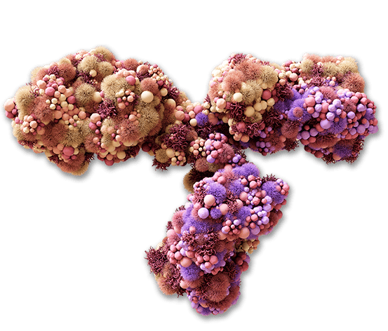 Bioanalytical-Solutions-for-Large-Molecule-Development-header