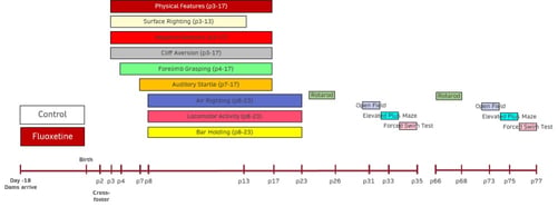 Developmental Milestones aka Functional Observation Battery