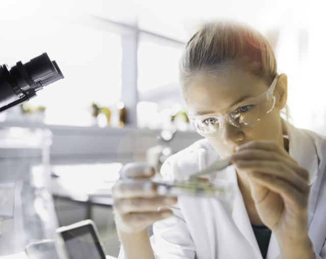 Scientist in laboratory