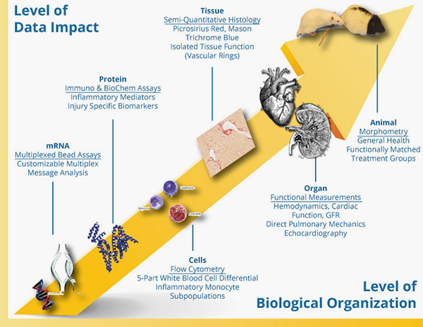 biomarkers1-1