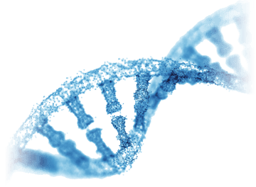hd-dna-gfx