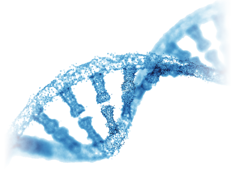 hd-dna-gfx