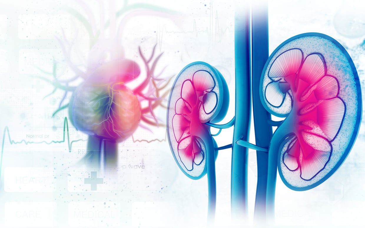 Hypertension Models: Clearer Insights
