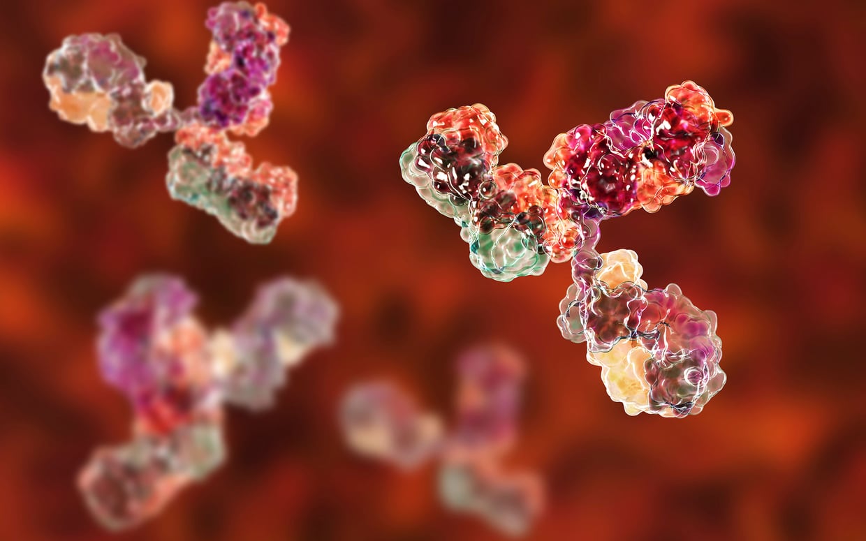 Monoclonal antibody production