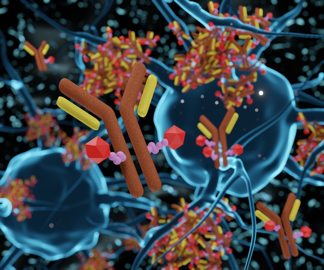 ADC targets for oncology and other therapeutics