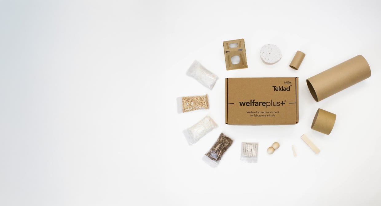 welfareplus+ Enrichment