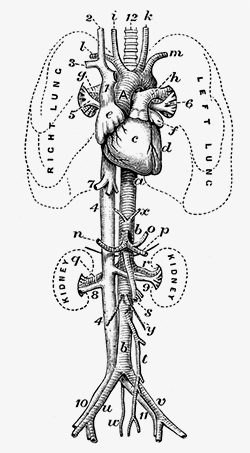 pharm-graphic