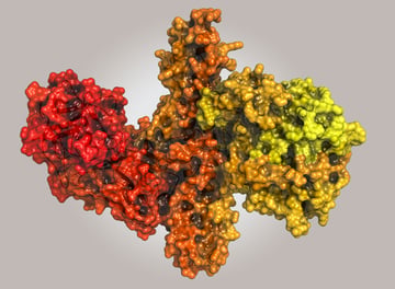 Biomarker-Solutions-for-Biotherapeutics-image