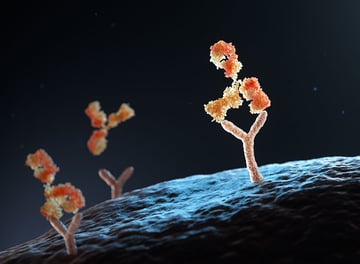 Flow-Cytometry-Human-antibody-binding-to-human-cell-receptors-3D-illustration
