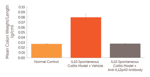 IL10 Spontaneous Colitis Model Validation Data 2