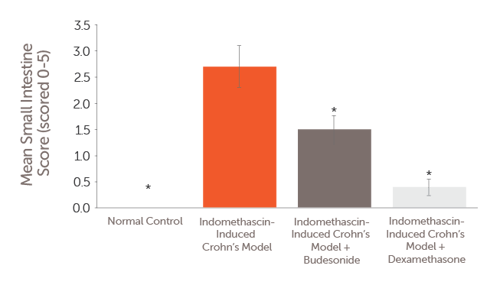 Indomethacin-Induced Crohn's Model Validation Data