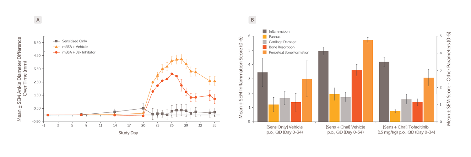Inflammatory_Skin_Diseases_Webpage_FIGURE_4
