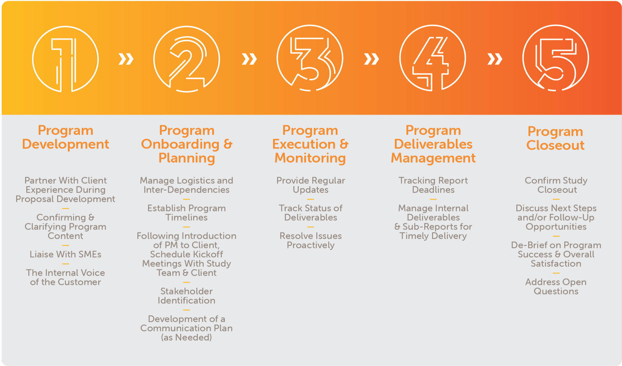 Programm Process Program Management