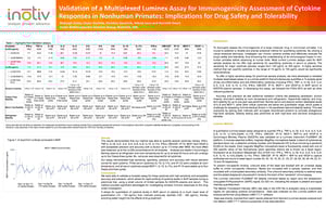 Micro CT cross sections of sheep tibias