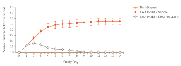 Rheumatoid_Arthritis_CAIA_Arthritis_Scores-1