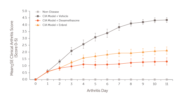 Rheumatoid_Arthritis_Mouse CIA Model Data