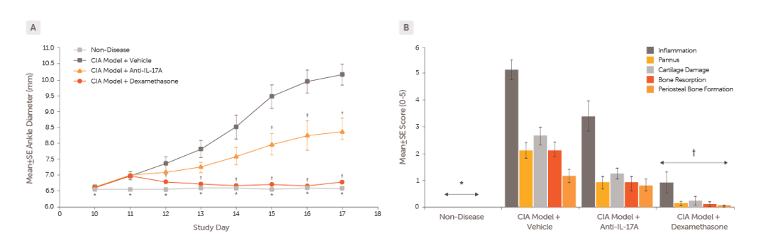Rheumatoid_Arthritis_Rat CIA Model Data