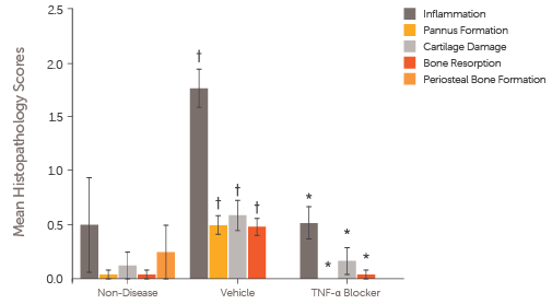 Rheumatoid_Arthritis_TNF_alpha_histopathology_scores_data-1