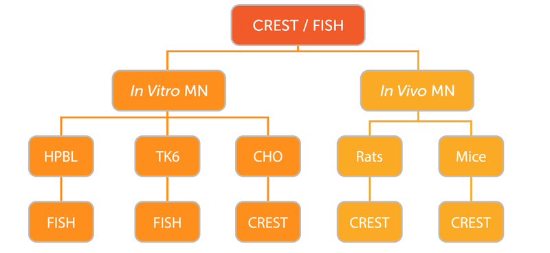 crest-fish-flow-chart