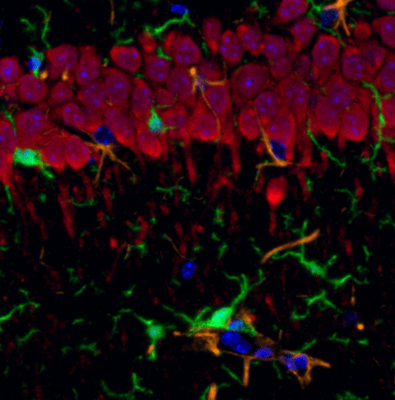 discovery-pathology-9