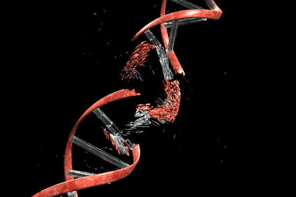 Genetic Toxicology