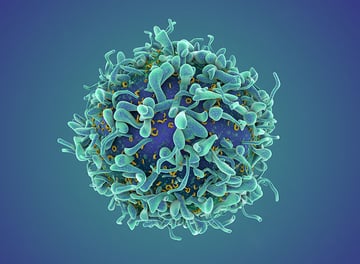 hd-oncology-research-full-image