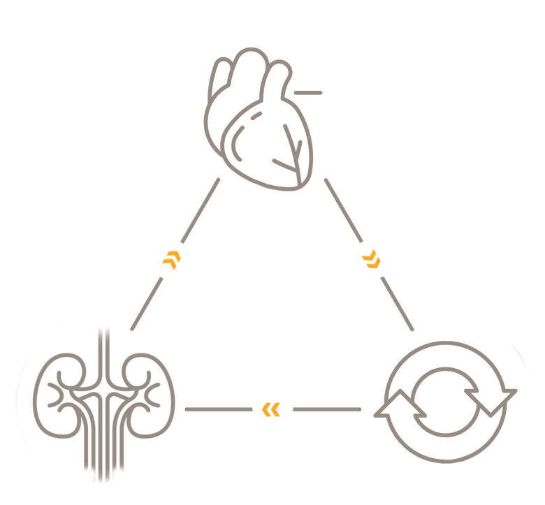 integrated-cvrm-research-icon-3