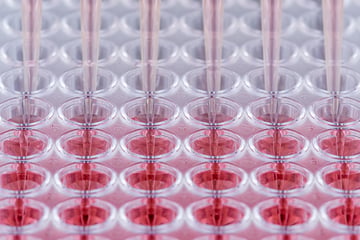 other-genetic-toxicology-assays