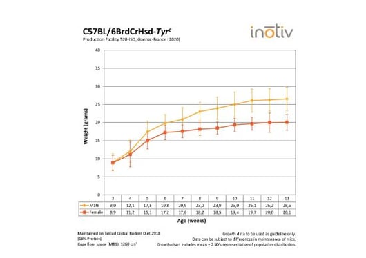 Growth Curve BL6Albinos_Iso_France_2020