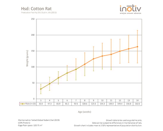 cotton-rat-gc-sept2015