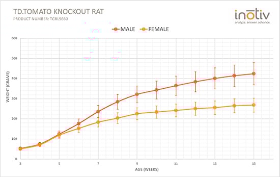 tdTomato-reporter-knockin-rats-growth-curve