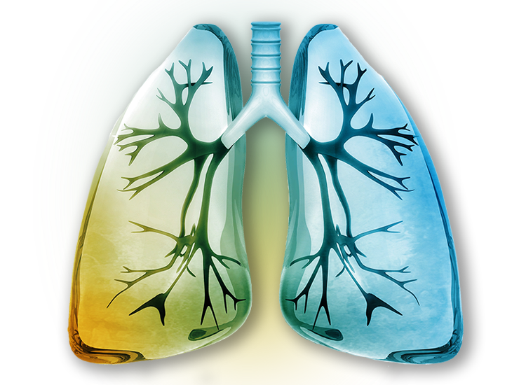 Pulmonary Research