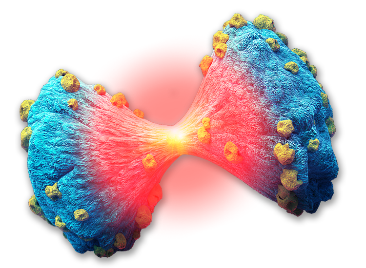 Oncology