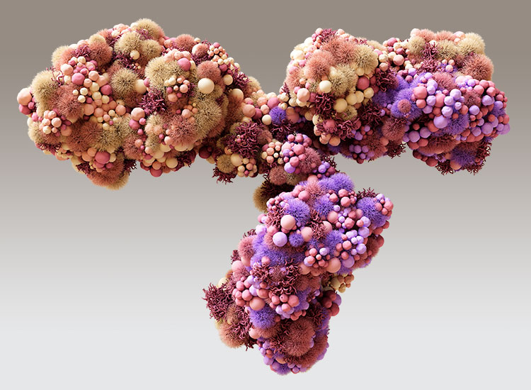 Biotherapeutic Analysis