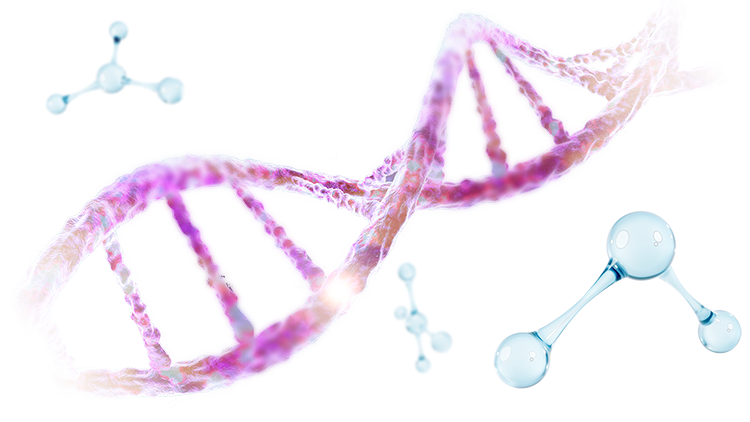 Diabetic and Metabolic research solutions