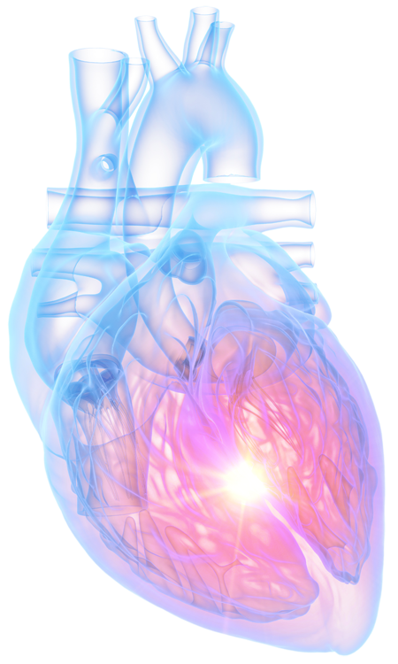 Inflammatory Bowel Disease