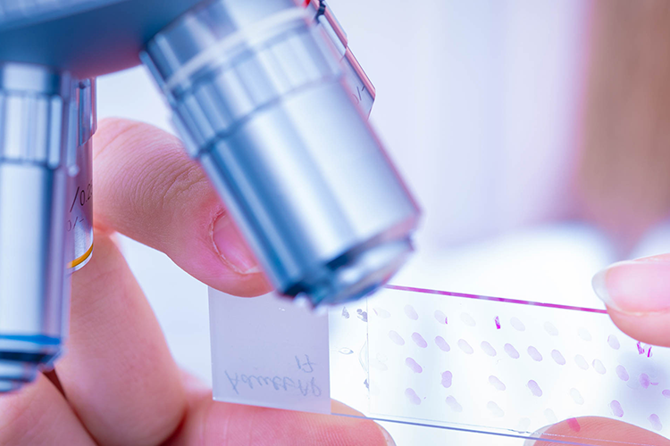 Medical Device: Specialized Histology and Pathology