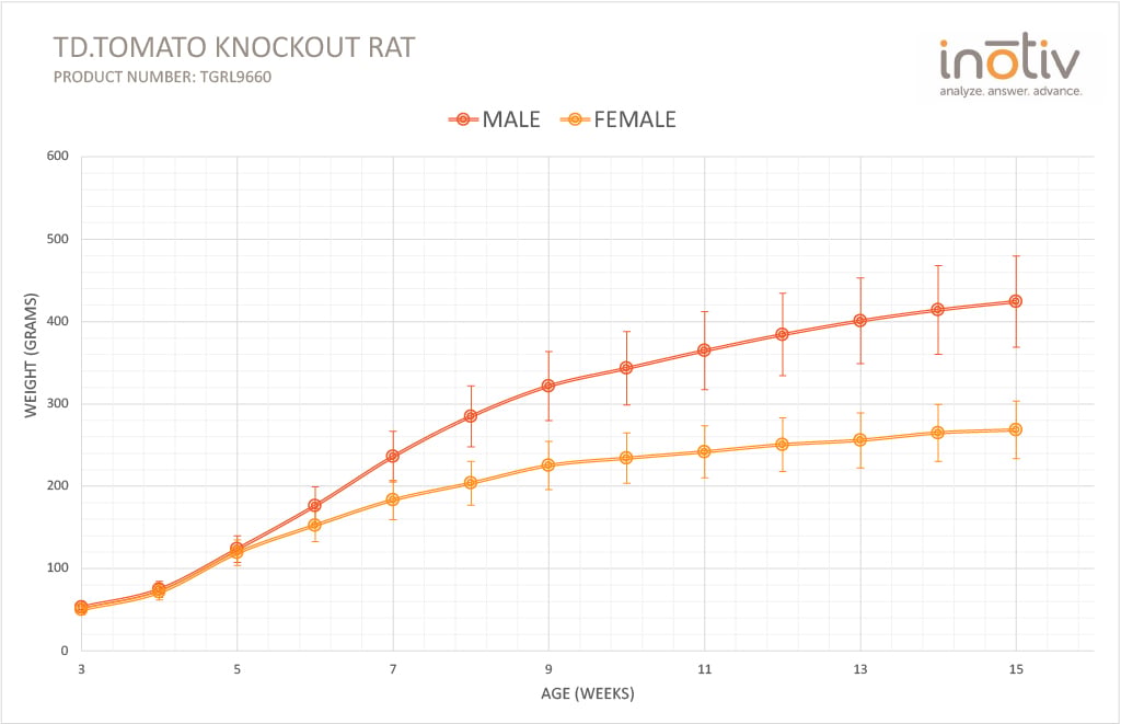 tdTomato-reporter-knockin-rats-growth-curve